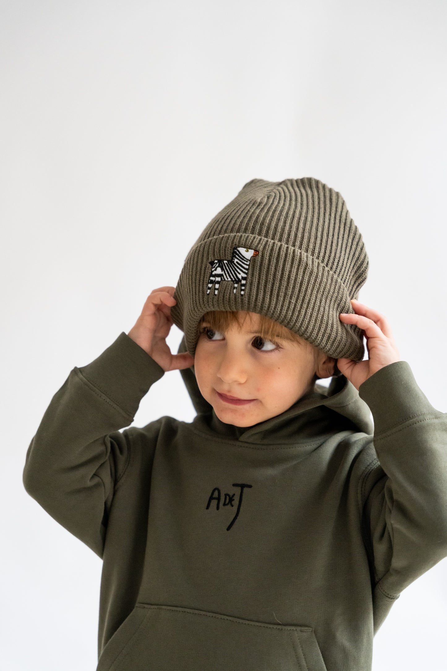 Gorro de Cebra