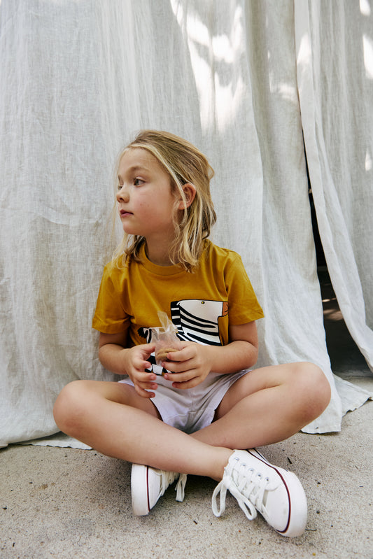 Zebra kids T-shirt