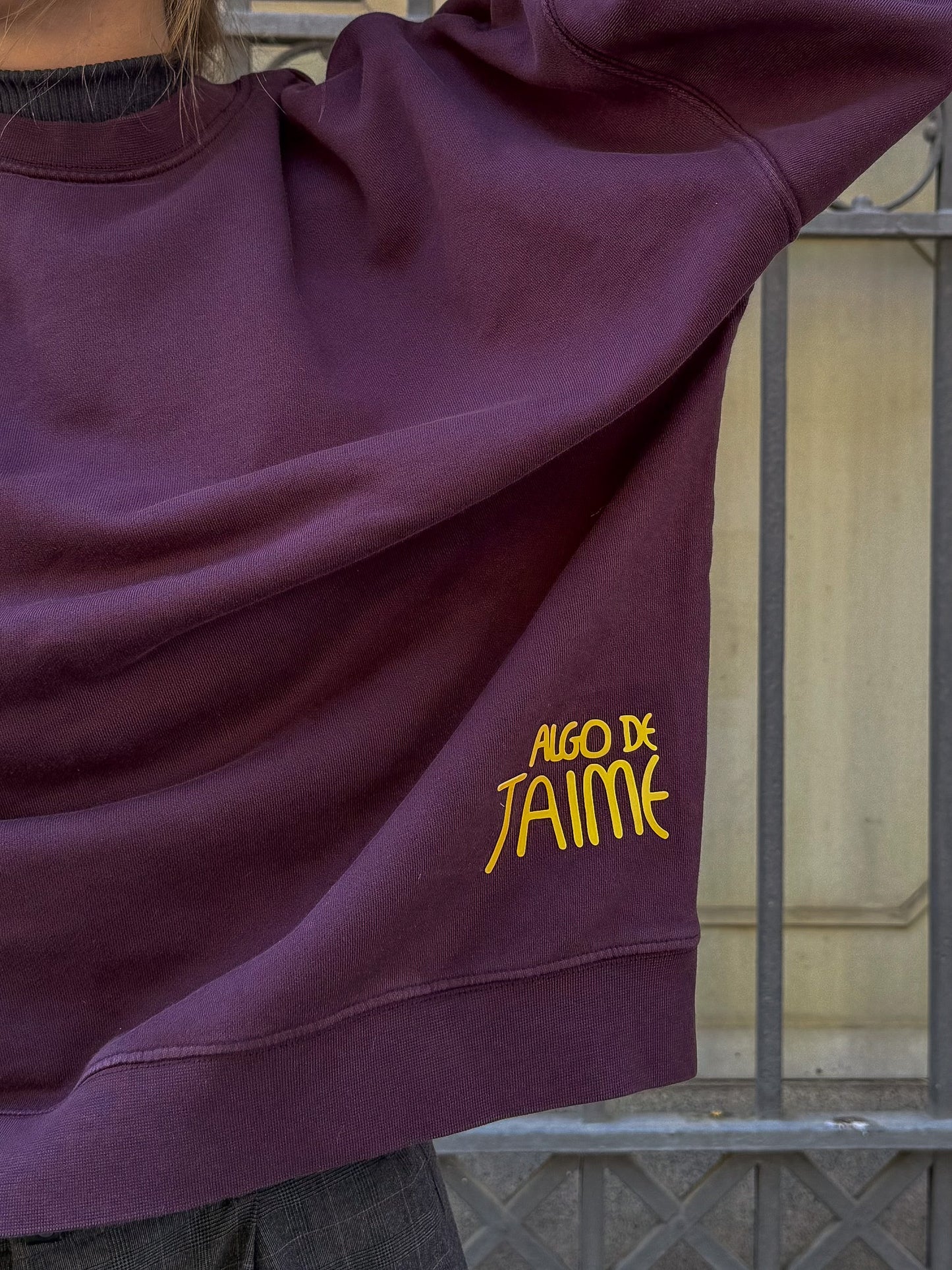 Sudadera Berenjena de Cebra Adultos