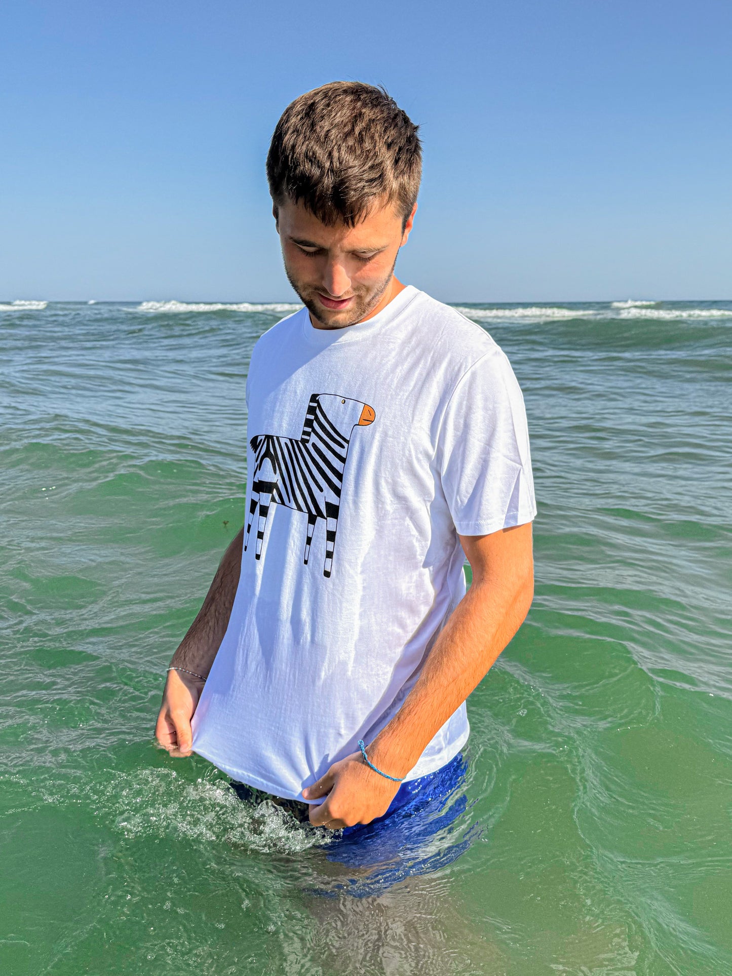 Camiseta de Cebra