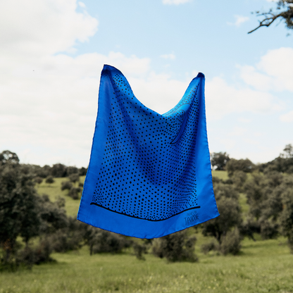 Blue Night Scarf